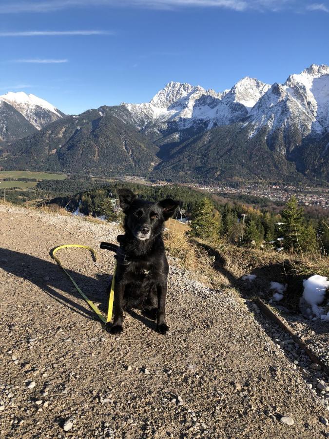 Ferienwohnung Anette Garmisch-Partenkirchen Exteriér fotografie
